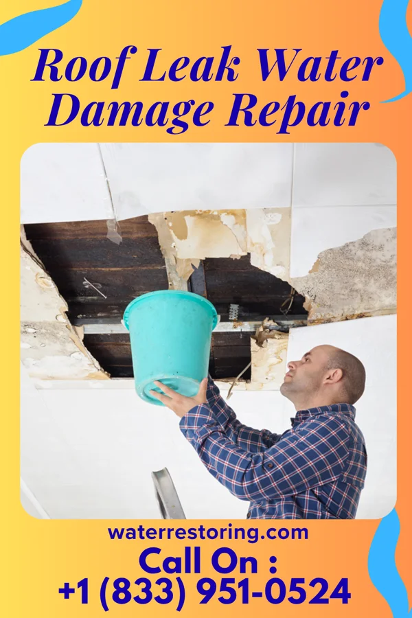 Roof Leak Water Damage Repair in Dolton, IL