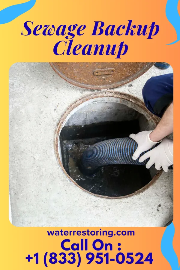Sewage Backup Cleanup in Dolton, IL